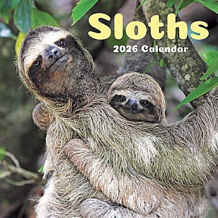 2026 TF Publishing Animals Monthly Wall Calendar, 12" x 12", Sloths, January To December