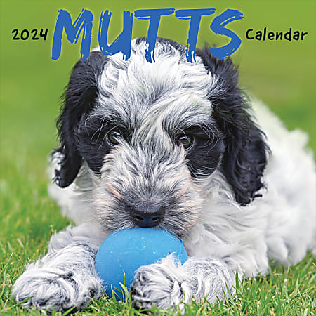 2024 TF Publishing Animal Wall Calendar, 12" x 12", Mutts, January To December