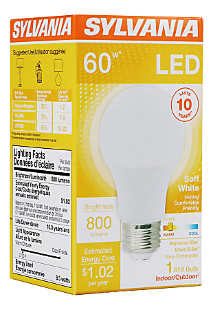 800 lumens brightness