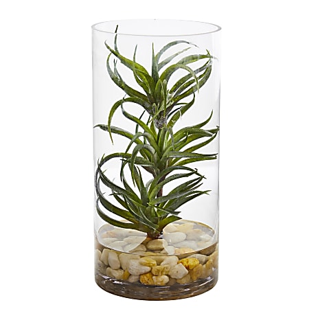 Nearly Natural 12"H Air Plant Artificial Succulent With Glass Vase, 12"H x 6"W x 6"D, Clear/Green