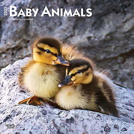 2025 BrownTrout Baby Animals Monthly Plastic-Free Square Wall Calendar, 12" x 12", Domesticated Animals, January to December 2025, 9781975476564