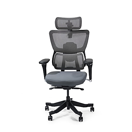 FlexiSpot C7 MAX Ergonomic Foam Seat, Office Chair, Gray color