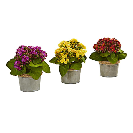 Nearly Natural Kalanchoe 9”H Artificial Floral Arrangements With Pot, 9”H x 8”W x 8”D, Multicolor, Set Of 3