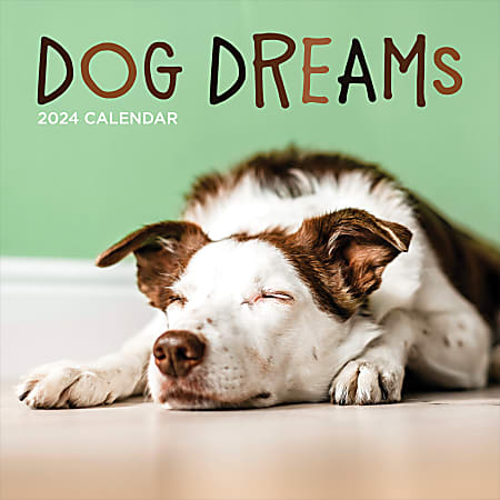 2024 TF Publishing Animal Wall Calendars, 12” x 12”, Dog Dreams, January To December
