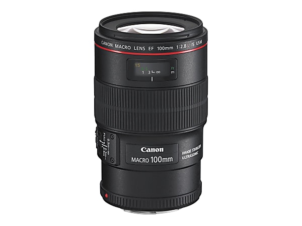 Canon EF 100mm f/2.8L IS USM Macro Lens - 100mm - f/2.8