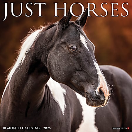 2026 Willow Creek Press Monthly Wall Calendar, 12" x 12", Just Horses, January To December, O51504