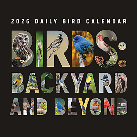 2026 TF Publishing Animals Monthly Wall Calendar, 12" x 12", Birds: Backyard and Beyond, January To December