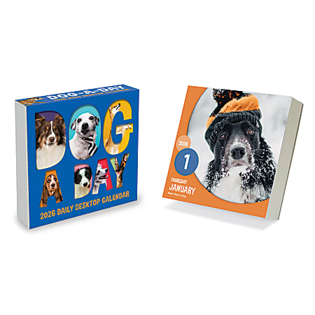 2026 TF Publishing Daily Desktop Box Calendar, 5-1/4" x 5-1/4", Dog A Day, January To December