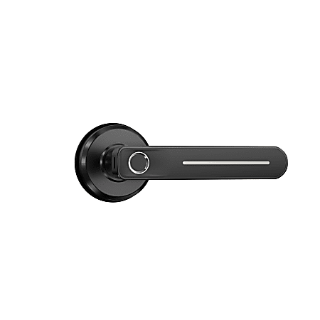 GeekTale B01 Smart Fingerprint Door Lock With Lever, 2.81"H x 2.56"W x 6.02"D, Matte Black