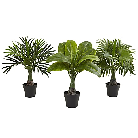 Nearly Natural Areca, Fountain & Banana Palm 16”H Artificial Trees With Pots, 16”H x 15”H x 15”D, Green, Set Of 3