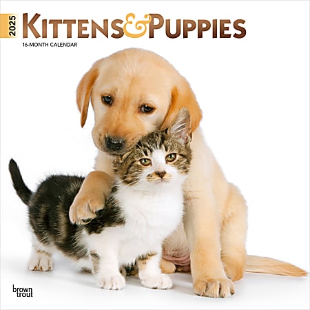 2025 BrownTrout Kittens & Puppies Monthly Plastic-Free Square Wall Calendar, 12" x 12", Cats, January to December 2025, 9781975477271