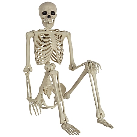 Amscan Life Size Poseable Skeleton Halloween Prop, 5’, White