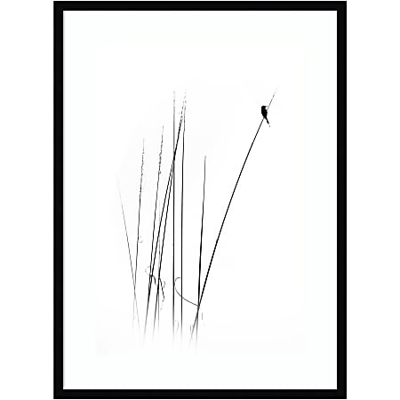 Amanti Art A Sabbatical Bird by Swapnil Wood Framed Wall Art Print, 34”H x 25”W, Black