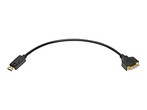 Tripp Lite DisplayPort to DVI Adapter Converter Cable