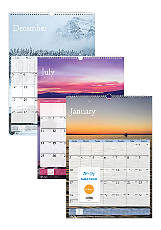 Blue Sky™ Wire-Bound Monthly Wall Calendar, 12" x 17", Scenes, January To December 2021, 117917