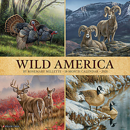 2026 Willow Creek Press Animals Monthly Wall Calendar, 12" x 12", Wild America, January To December, 53270