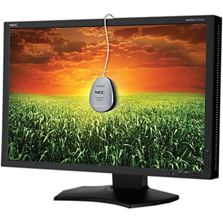 NEC Display MultiSync P241W 24" CCFL LCD Monitor - 16:10 - 8 ms
