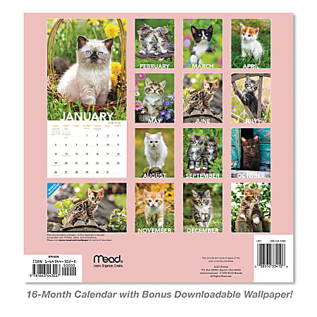 Mead Kittens Monthly Wall Calendar 12 x 12 January to December 2020 ...