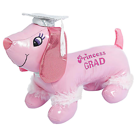 Graduation autograph dog best sale
