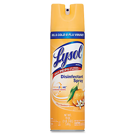 Office best sale depot lysol