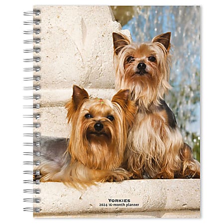 2023-2024 BrownTrout 16-Month Weekly/Monthly Engagement Planner, 7-3/4" x 7-3/16", Yorkshire Terriers, September To December