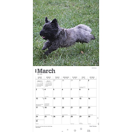 2024 Brown Trout Monthly Square Wall Calendar, 12" x 12", Cairn