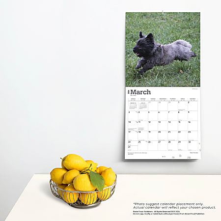2024 Brown Trout Monthly Square Wall Calendar, 12" x 12", Cairn