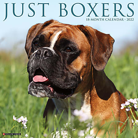 Willow Creek Press Animals Monthly Wall Calendar, 12" x 12", Just Boxers, January to December 2022, 17104