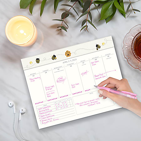 Orange Circle Studio Weekly Desk Calendar 8 12 x 11 Multicolor January