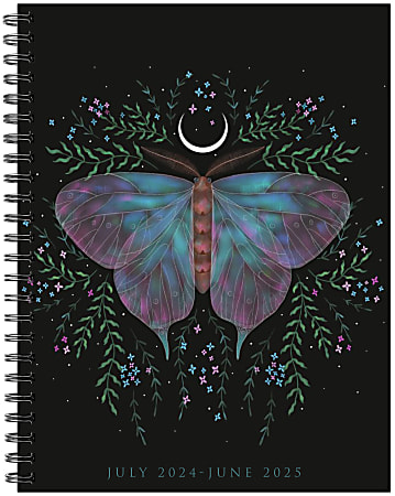 2024-2025 Willow Creek Press Weekly/Monthly Planner, 6-1/2" x 8-1/2", Mystic Butterfly, July To June, 47460
