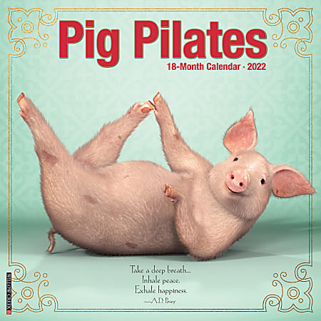 Willow Creek Press Animals Monthly Wall Calendar, 12" x 12", Pig Pilates, January to December 2022, 21286