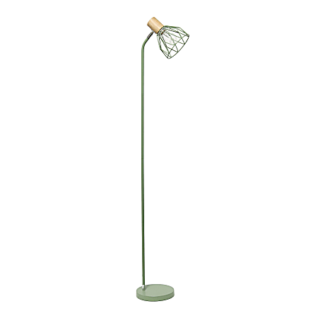 Simple Designs Industrial Farmhouse Fusion Adjustable Cage Wire Accent Floor Lamp, 55-15/16"H, Green