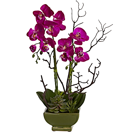 Nearly Natural Orchid & Succulent 21”H Plastic Floral Arrangement With Planter, 21”H x 10”W x 8”D, Dark Pink/Green