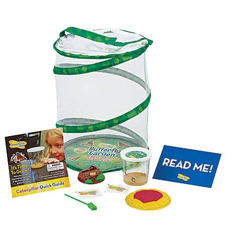 Insect Lore Butterfly Growing Kit With Live Caterpillars, Green