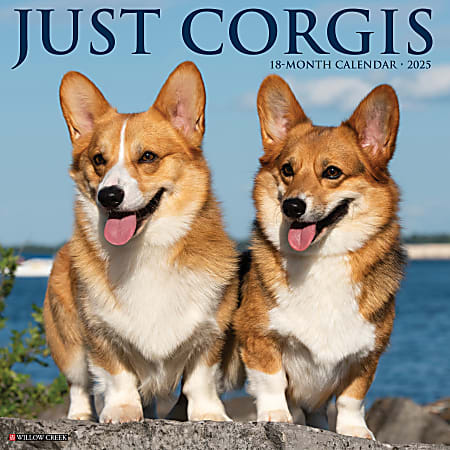 2025 Willow Creek Press Animals Monthly Wall Calendar, 12” x 12”, Corgis, January To December, 42564