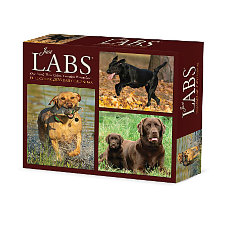 2026 Willow Creek Press Page-A-Day Daily Desk Calendar, 6-1/4" x 5-1/2", Just Labs, January To December, 54277