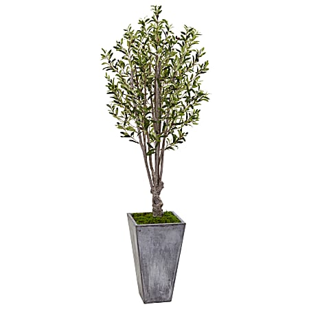 Nearly Natural 6'H Olive Artificial Tree With Planter, 72"H x 25"W x 25"D, Gray/Green