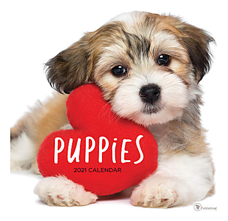 TF Publishing Animals Monthly Wall Calendar, 12" x 12", Puppies, January To December 2021