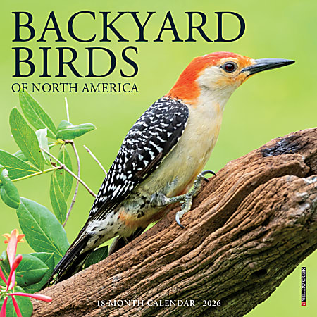 2026 Willow Creek Press Monthly Mini Wall Calendar, 7" x 7", Backyard Birds, January To December, 53447