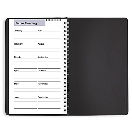 AT A GLANCE DayMinder 2023 RY Daily Appointment Book Planner Black ...