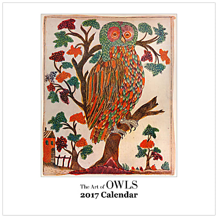 Retrospect Monthly Square Wall Calendar, 12 1/4" x 12", The Art Of Owls, January to December 2017