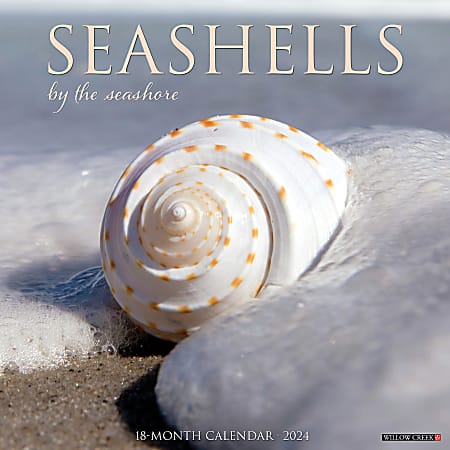 2024 Willow Creek Press Scenic Monthly Wall Calendar, 12" x 12", Seashells, January To December