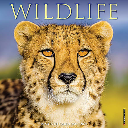 2025 Willow Creek Press Monthly Wall Calendar, 12" x 12", Wildlife, January 2025 to December 2025, 45480