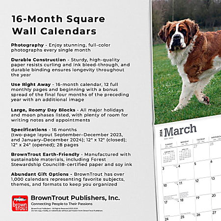 2024 Brown Trout Monthly Square Wall Calendar, 12" x 12", Saint