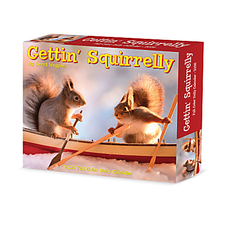 2026 Willow Creek Press Page-A-Day Daily Desk Calendar, 6-1/4" x 5-1/2", Gettin' Squirrelly, January To December, 54185