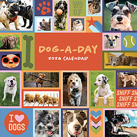 2024 TF Publishing Animal Wall Calendars, 12” x 12”, DogADay, January