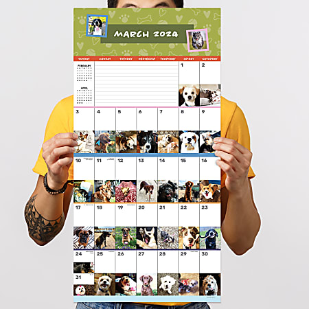 2025 TF Publishing Animal Wall Calendars, 12” x 12”, DogADay, January