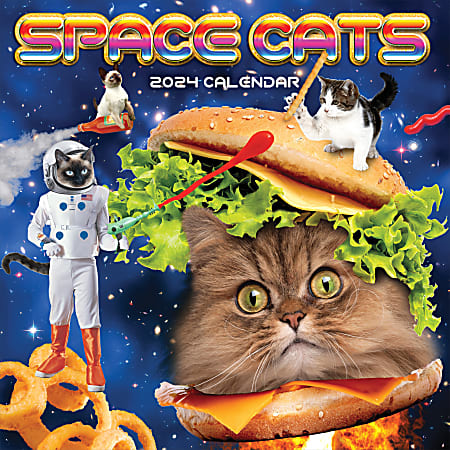 2024 TF Publishing Humor & Comics Monthly Wall Calendar, 12” x 12”, Space Cats, January To December