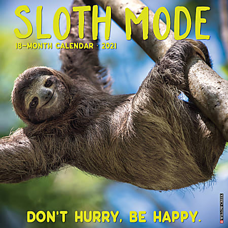 Willow Creek Press Animals Monthly Wall Calendar, Sloth Mode, 12" x 12", January To December 2021