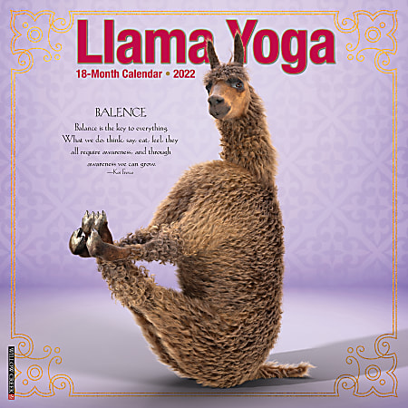 Willow Creek Press Animals Monthly Wall Calendar, 12" x 12", Llama Yoga, January to December 2022, 18743